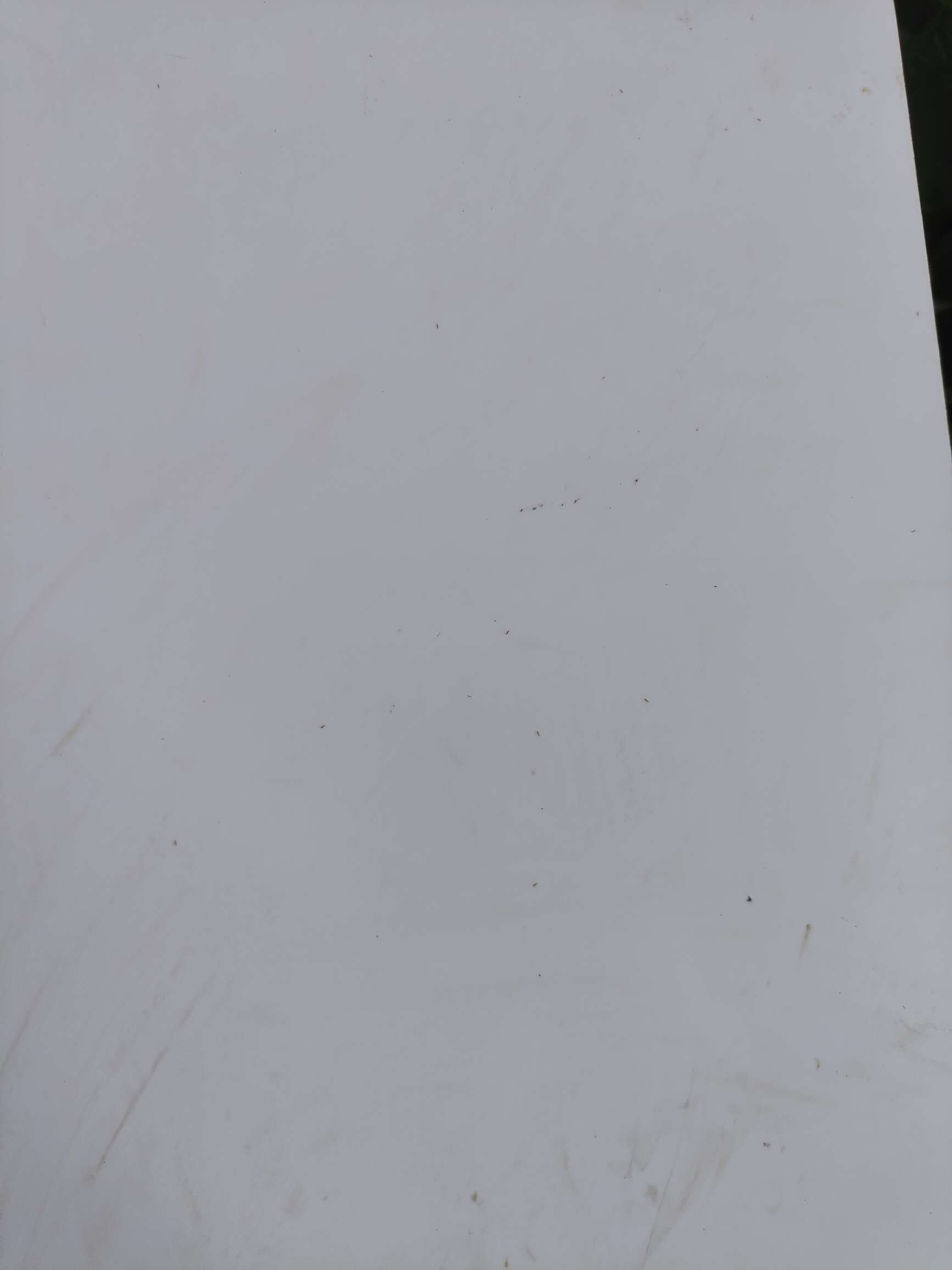 http://st-static1.13874139828.com/forums/2025/08/18/17555288245629.jpeg