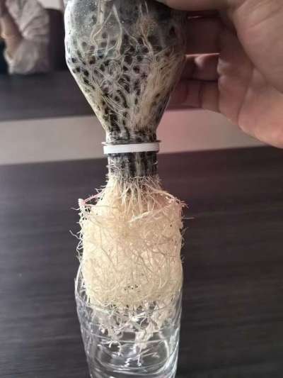 年销售量三十万吨的有机肥生产厂家，全国网点发货，资质齐全，正品保障！有机肥、生物菌肥、微生物肥料等