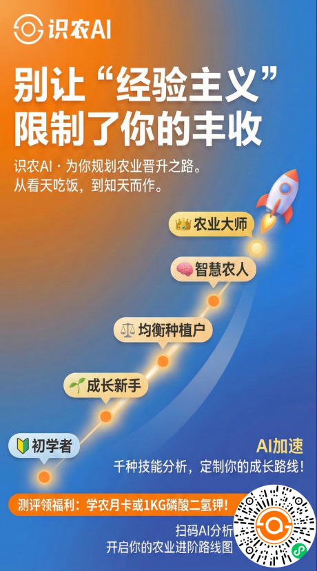 http://st-static1.13874139828.com/forums/2025/11/27/17642315792371.png