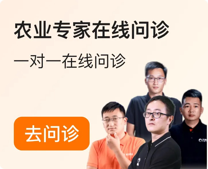 http://st-static1.13874139828.com/forums/2025/12/04/17648348949299.png