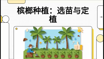 第01节：选苗与定植&mdash;&mdash;&ldquo;苗好一半收，底肥定千秋&rdquo;课程：《槟榔种植：从不懂到精通的10堂必修课》