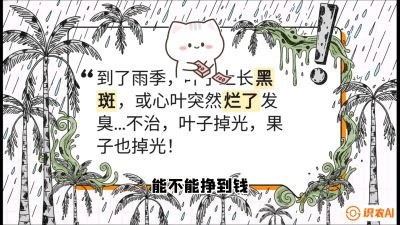第05节：常见真菌病害&mdash;&mdash;&ldquo;炭疽与烂心，早防值千金&rdquo;《槟榔种植：从不懂到精通的10堂必修课》
