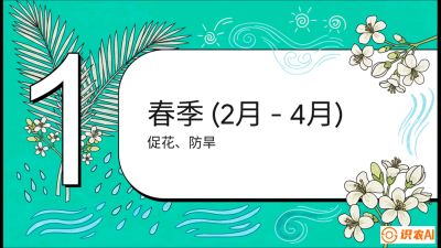 第10节：周年农事日历&mdash;&mdash;&ldquo;跟着节气走，丰产在手头&rdquo;《槟榔种植：从不懂到精通的10堂必修课》