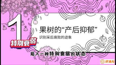 第2节：【冬肥策略】采后&ldquo;月子肥&rdquo;：大小年的精准干预术，课程：《柑橘底肥&ldquo;翻身账&rdquo;：从改土到高产的实战全书》