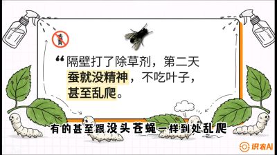 第05节：养蚕人的&ldquo;排雷战&rdquo;&mdash;&mdash;除草剂的生死禁忌，课程：《桑海淘金：桑树高产与蚕桑安全进阶实战课》