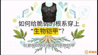 第三节：国产榴莲突围战：根系堡垒，菌根微生态构建与黄金定植窗口，课程：《国产榴莲突围战：从泰国经验到中国实操的8堂必修课（高阶实战版）》