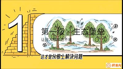 第七节：榴莲防御战：病虫害三级立体防控，疫霉菌与虫害的立体封锁线，课程：《国产榴莲突围战：从泰国经验到中国实操的8堂必修课（高阶实战版）》