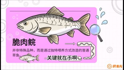 第六节：【老品升级&middot;脆肉鲩】如何让草鱼身价翻倍？，课程：《黄金鳞甲：2025中国淡水鱼高效养殖实战营》