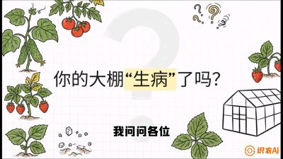 第2节（解毒篇）： 大棚里的&ldquo;红白绿&rdquo;警报&mdash;&mdash;读懂土壤盐渍化的求救信号，课程：《揭秘土壤的秘密：让土地帮你赚钱》#识农AI