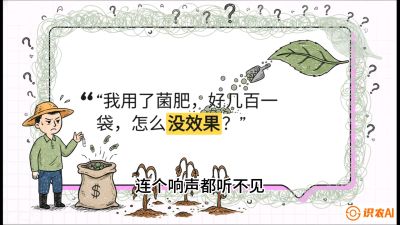 第4节（活化篇）： 土壤里的&ldquo;雇佣兵&rdquo;&mdash;&mdash;如何用菌剂以小博大，解决死棵难题，课程：《揭秘土壤的秘密：让土地帮你赚钱》#识农AI