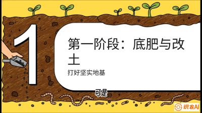 第6节（统筹篇）： 省钱又增产的&ldquo;黄金配比&rdquo;&mdash;&mdash;不同作物全年的养土实操方案，课程：《揭秘土壤的秘密：让土地帮你赚钱》#识农AI