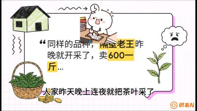 第01节（抢早篇）：与老天爷抢饭吃：如何利用&ldquo;温差阈值&rdquo;让头采茶提前5天上市？，课程：《茶金时代：从&ldquo;看天吃饭&rdquo;到&ldquo;精准控局&rdquo;的茶叶高产提质实战课》