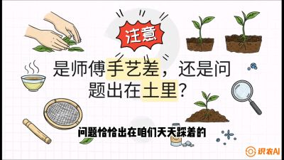 第02节（土肥篇）：告别&ldquo;苦涩水味&rdquo;：揭秘&ldquo;碳氮比&rdquo;调控术，种出自带兰花香的好茶底，课程：《茶金时代：从&ldquo;看天吃饭&rdquo;到&ldquo;精准控局&rdquo;的茶叶高产提质实战课》