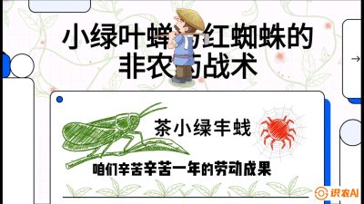 第03节（虫害篇）：看不见的吸血鬼：小绿叶蝉与红蜘蛛的&ldquo;非农药&rdquo;团灭战术（抗性治理），课程：《茶金时代：从&ldquo;看天吃饭&rdquo;到&ldquo;精准控局&rdquo;的茶叶高产提质实战课》