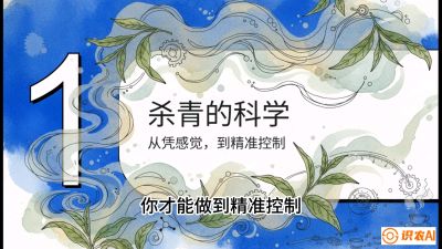 第05节（加工篇）：决胜2分钟：用&ldquo;数字温控&rdquo;破解杀青不匀，复刻大师级手工口感，课程：《茶金时代：从&ldquo;看天吃饭&rdquo;到&ldquo;精准控局&rdquo;的茶叶高产提质实战课》