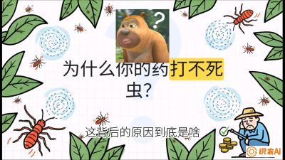 第4节：【虫害歼灭战】打不死的蓟马、隐形的茶黄螨：抗性时代的&ldquo;混配绝杀&rdquo;，课程：《辣椒种植实战特训营，从工业辣椒到精品小米辣，教你如何把&ldquo;草&rdquo;种成&ldquo;金&rdquo;》