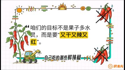 第7节：【工业辣椒专场】追求极致辣度！干物质提升与机械化采收的&ldquo;催红秘籍&rdquo;，课程：《辣椒种植实战特训营，从工业辣椒到精品小米辣，教你如何把&ldquo;草&rdquo;种成&ldquo;金&rdquo;》