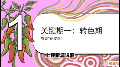 第8节：【小米辣线椒专场】颜值即正义！防花皮、防炭疽，打造收购商抢着要的&ldquo;精品果&rdquo;，课程：《辣椒种植实战特训营，从工业辣椒到精品小米辣，教你如何把&ldquo;草&rdquo;种成&ldquo;金&rdquo;》