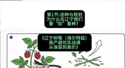 第一节： 选种与规划&mdash;&mdash;为什么在辽宁我们要&ldquo;砍&rdquo;着种？，课程：《辽宁树莓（海尔特兹）高产避坑实战课：从保苗到高价》