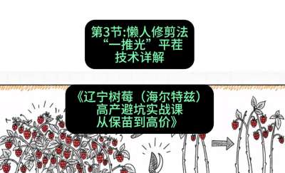 第三节： 懒人修剪法&mdash;&mdash;&ldquo;一推光&rdquo;平茬技术详解，课程：《辽宁树莓（海尔特兹）高产避坑实战课：从保苗到高价》