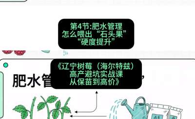 第四节： 肥水管理&mdash;&mdash;怎么喂出&ldquo;石头果&rdquo;（硬度提升），课程：《辽宁树莓（海尔特兹）高产避坑实战课：从保苗到高价》
