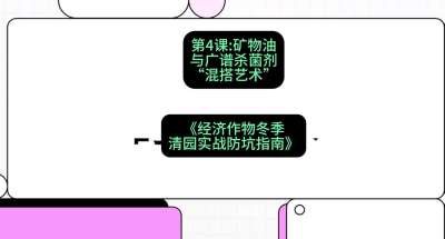 第4节：【替代方案】矿物油与广谱杀菌剂的&ldquo;混搭艺术&rdquo;，课程：《经济作物冬季清园&middot;实战防坑指南》#识农AI