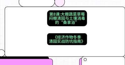 第8节：【大棚蔬菜草莓】闷棚清园与土壤消毒的&ldquo;桑拿浴&rdquo;，课程：《经济作物冬季清园&middot;实战防坑指南》#识农AI
