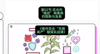 第02节：百合的&ldquo;癌症&rdquo;&mdash;&mdash;病毒病的阻断与急救，课程：《卷丹百合&ldquo;无病高产&rdquo;植保实战课》#识农AI