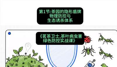 第01节：茶园的&ldquo;隐形盾牌&rdquo;&mdash;&mdash;物理防控与生态诱杀体系，课程：《茗茶卫士&mdash;&mdash;茶叶病虫害绿色防控实战课》#识农AI