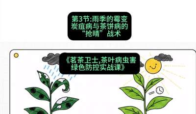 第03节：雨季的霉变&mdash;&mdash;炭疽病与茶饼病的&ldquo;抢晴&rdquo;战术，课程：《茗茶卫士&mdash;&mdash;茶叶病虫害绿色防控实战课》#识农AI