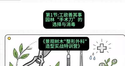 第01节：工欲善其事&mdash;&mdash;园林&ldquo;手术刀&rdquo;的选择与消毒，课程：《景观树木&ldquo;整形外科&rdquo;造型实战特训营》#识农AI