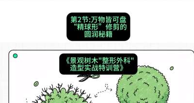第02节：万物皆可盘&mdash;&mdash;&ldquo;精球形&rdquo;修剪的圆润秘籍，课程：《景观树木&ldquo;整形外科&rdquo;造型实战特训营》#识农AI