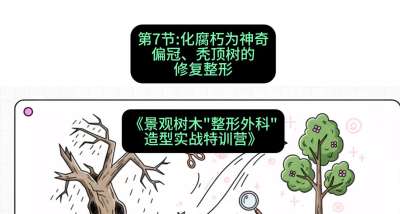 第07节：化腐朽为神奇&mdash;&mdash;偏冠、秃顶树的修复整形，课程：《景观树木&ldquo;整形外科&rdquo;造型实战特训营》#识农AI