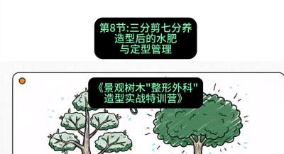 第08节：三分剪七分养&mdash;&mdash;造型后的水肥与定型管理，课程：《景观树木&ldquo;整形外科&rdquo;造型实战特训营》#识农AI