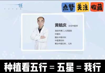 中药材淫羊藿怎么种？听专家一次讲明白！不挑地块好管理，耐寒耐旱省心省力，新手也能轻松上手，药用价值高、市场需求稳，妥妥的增收好品种～ 从生长习性到采收要点，干货满满无废话，种植疑问直接问，一对一答疑解