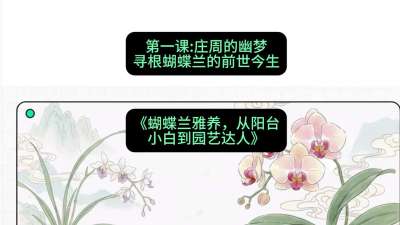 第一节：庄周的幽梦：寻根蝴蝶兰的前世今生，课程：《蝴蝶兰雅养六讲：从阳台小白到园艺达人》#识农AI