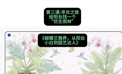 第三节：寻光之旅：给阳台找一个&ldquo;仿生雨林&rdquo;，课程：《蝴蝶兰雅养六讲：从阳台小白到园艺达人》#识农AI