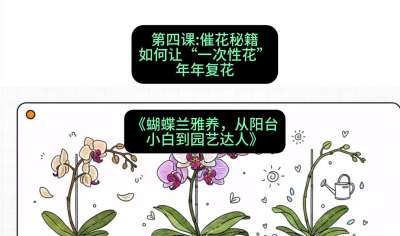 第四节：催花秘籍：如何让&ldquo;一次性花&rdquo;年年复花，课程：《蝴蝶兰雅养六讲：从阳台小白到园艺达人》#识农AI