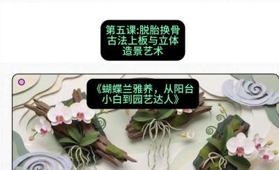第五节：脱胎换骨：古法上板与立体造景艺术，课程：《蝴蝶兰雅养六讲：从阳台小白到园艺达人》#识农AI