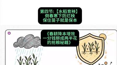 第四节：【水稻育秧】倒春寒下防烂秧，保住苗子就是保本