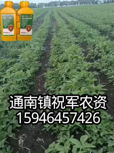 大豆苗前封闭，可封红根苋菜，灰菜，兰花菜，野豆子，捞豆秧等恶性杂草，封杀兼备的高端产品。