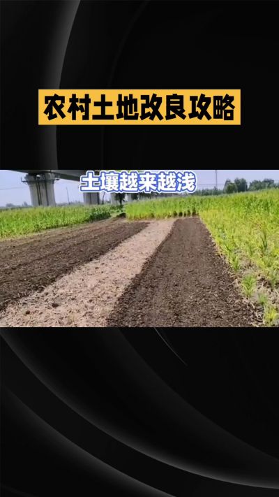 1. 先搞懂：你到底要改良哪块地、种什么
 
- 土土土在哪里？
就是你自家农田、菜地、果园，哪块地想种庄稼，就测哪块地的土。
​
- 有水没有水？
有水能浇：改良更省事，施肥、调酸碱都好操作。
没水