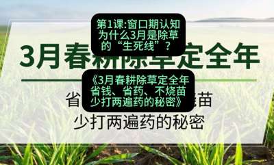 第1节：窗口期认知，为什么3月是除草的&ldquo;生死线&rdquo;？，课程：《3月春耕除草定全年：省钱、省药、不烧苗、少打两遍药的秘密》
