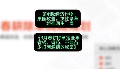第4节：经济作物果园攻坚，抗性杂草&ldquo;起死回生&rdquo;局，课程：《3月春耕除草定全年：省钱、省药、不烧苗、少打两遍药的秘密》