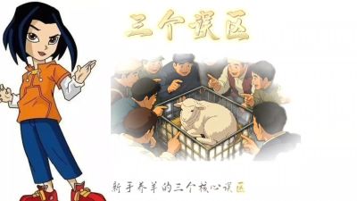 对于新手养殖三大误区的讲解，以及贴合实地的价格计算，从而使新人养殖来判断自己走哪个方向